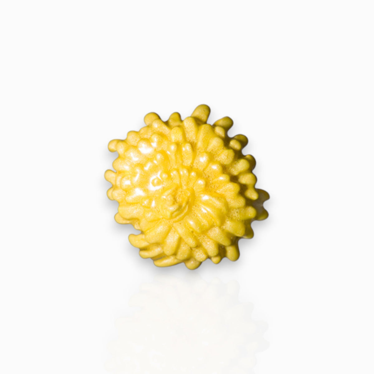 November Chrysanthemum Birth Flower - Brooch on a white background.
